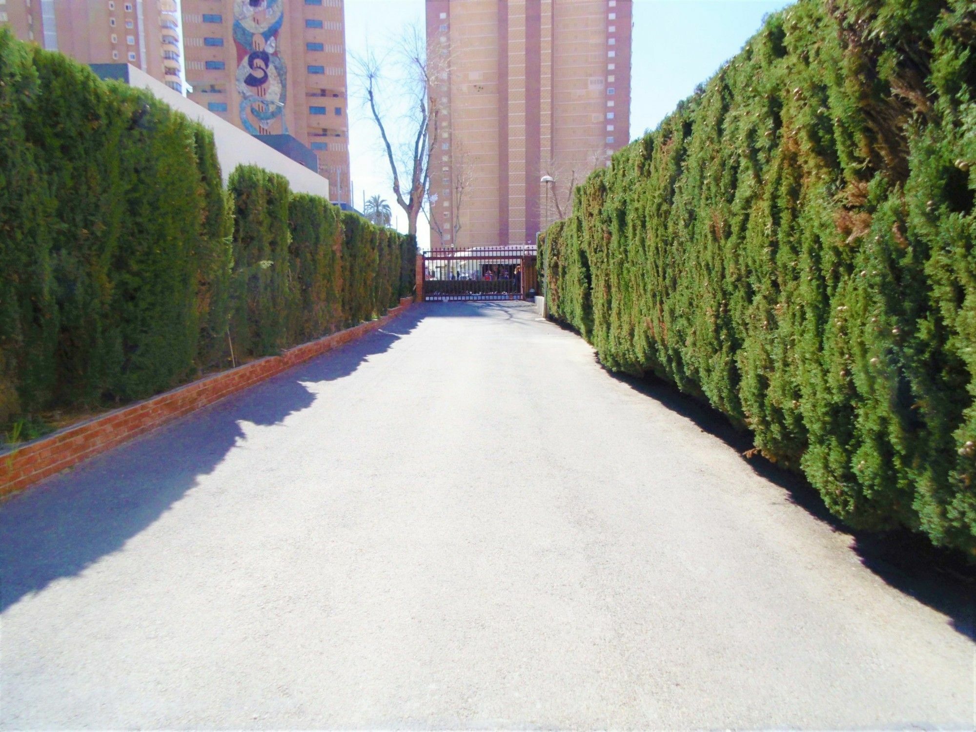 Edimar 2-3 Apartment Levante Beach Benidorm Exteriör bild